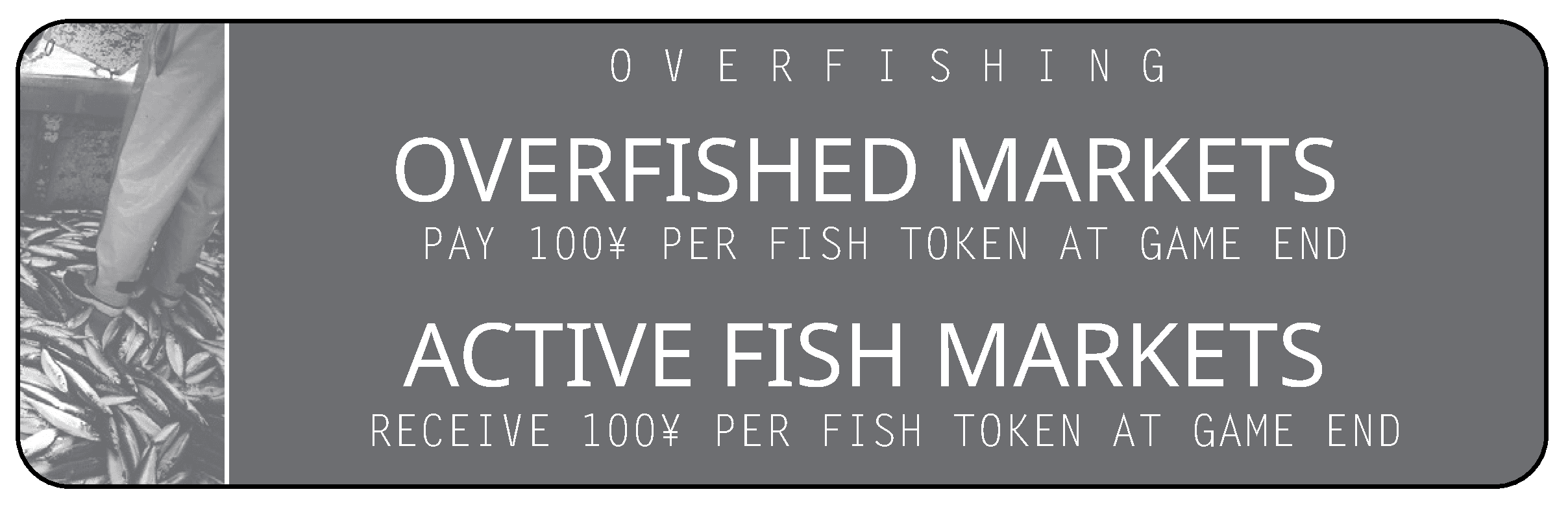 『Overfishing Market』印刷版ルールブックの図1